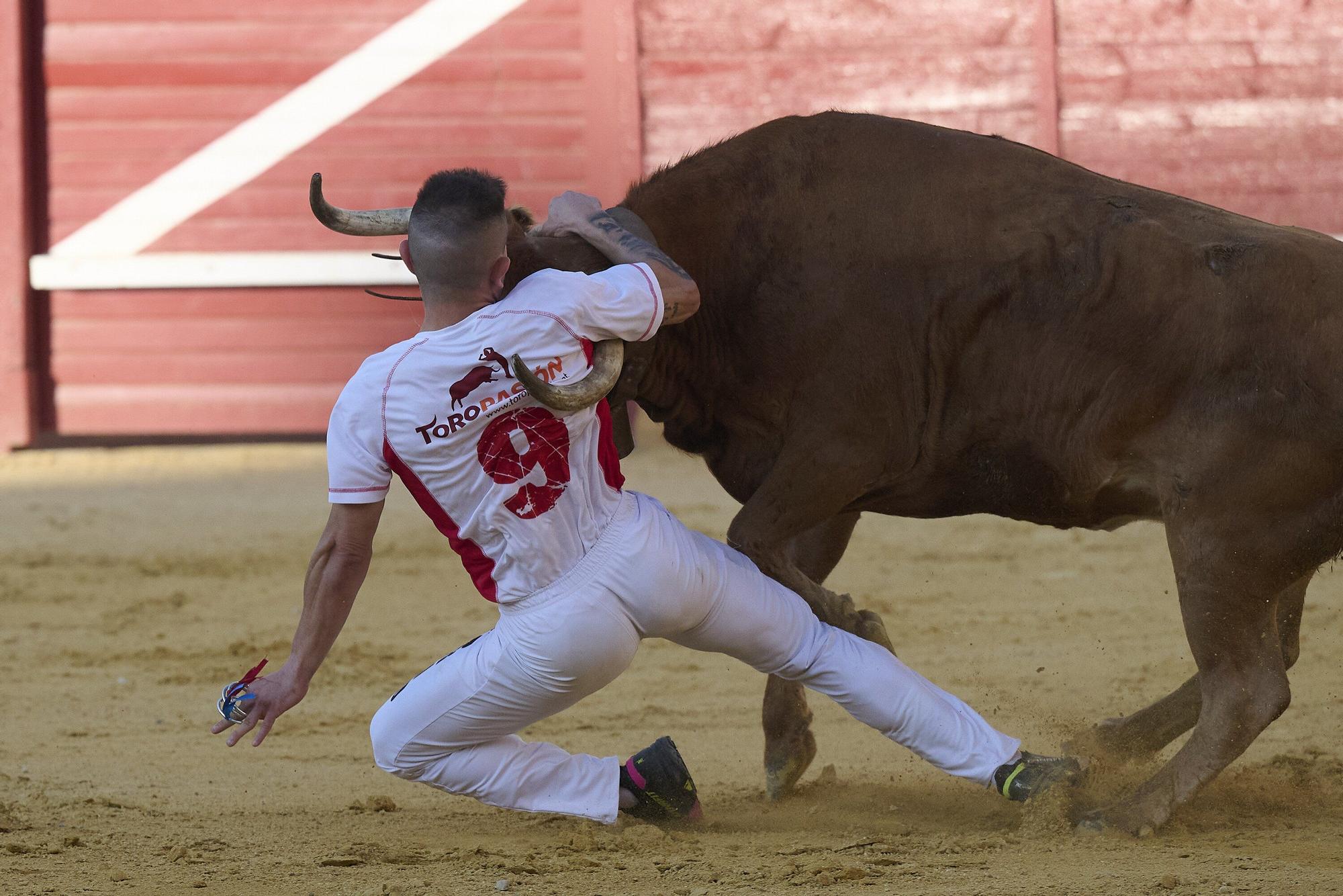 Concurso de recortadores con anillas