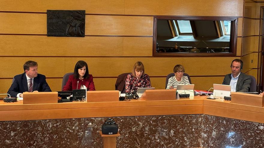 La Diputación niega “dejadez o improvisación” en el control de residencias