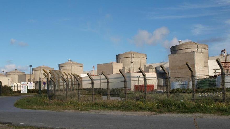 Una plaga de medusas paraliza cuatro reactores de una central nuclear en Francia