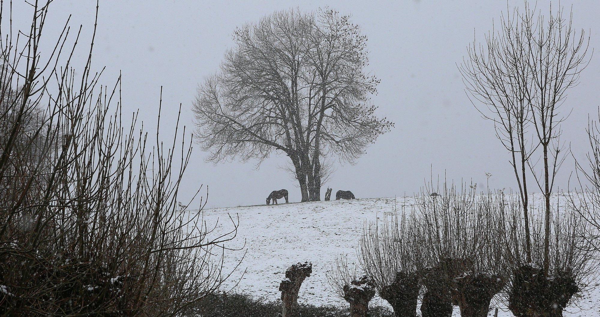 Fotos de la nieve en Navarra (20 de noviembre de 2025)