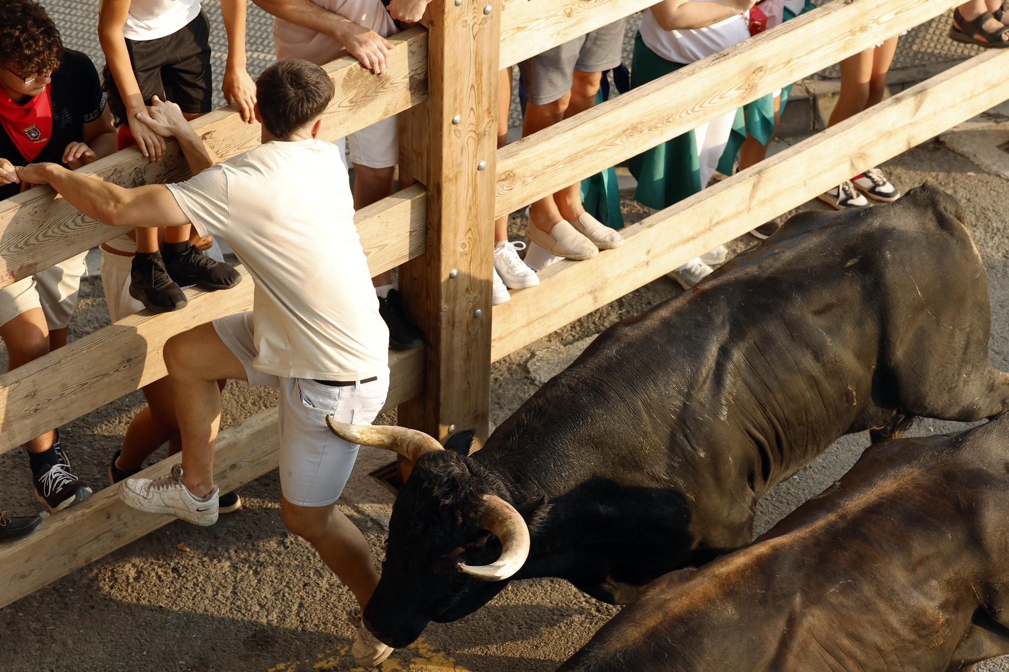 Fotos del segundo encierro de fiestas de Tafalla 2025