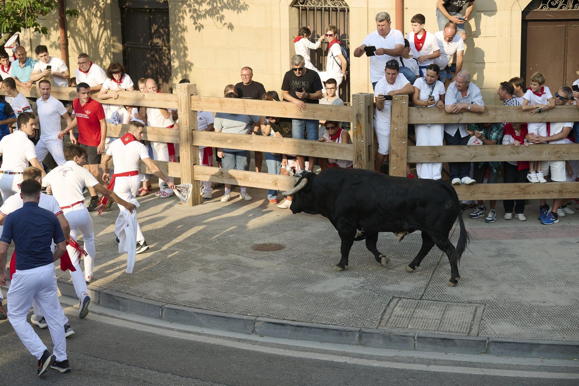 Fotos del primer encierro de fiestas de Tafalla
