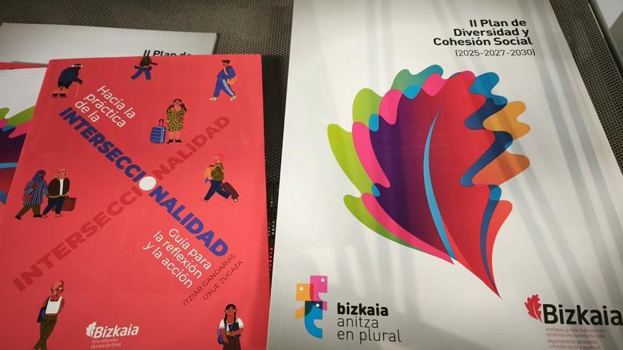 El Plan marca el horizonte del año 2030, con un proceso de evaluación intermedia fijado para finales de 2027 que permitirá corregir las acciones si fuera necesario.
