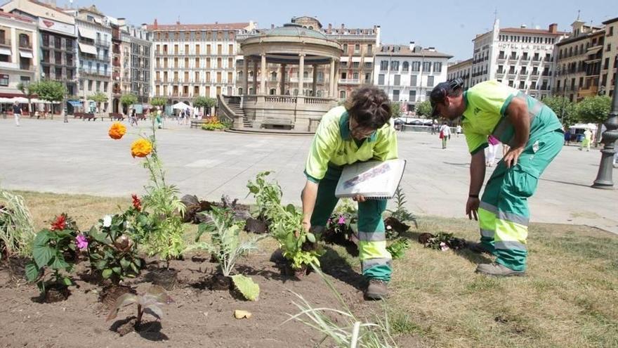 Dos operarios municipales colocan plantas en una zona verde con motivo de la restauración de jardines y parques tras los Sanfermines.