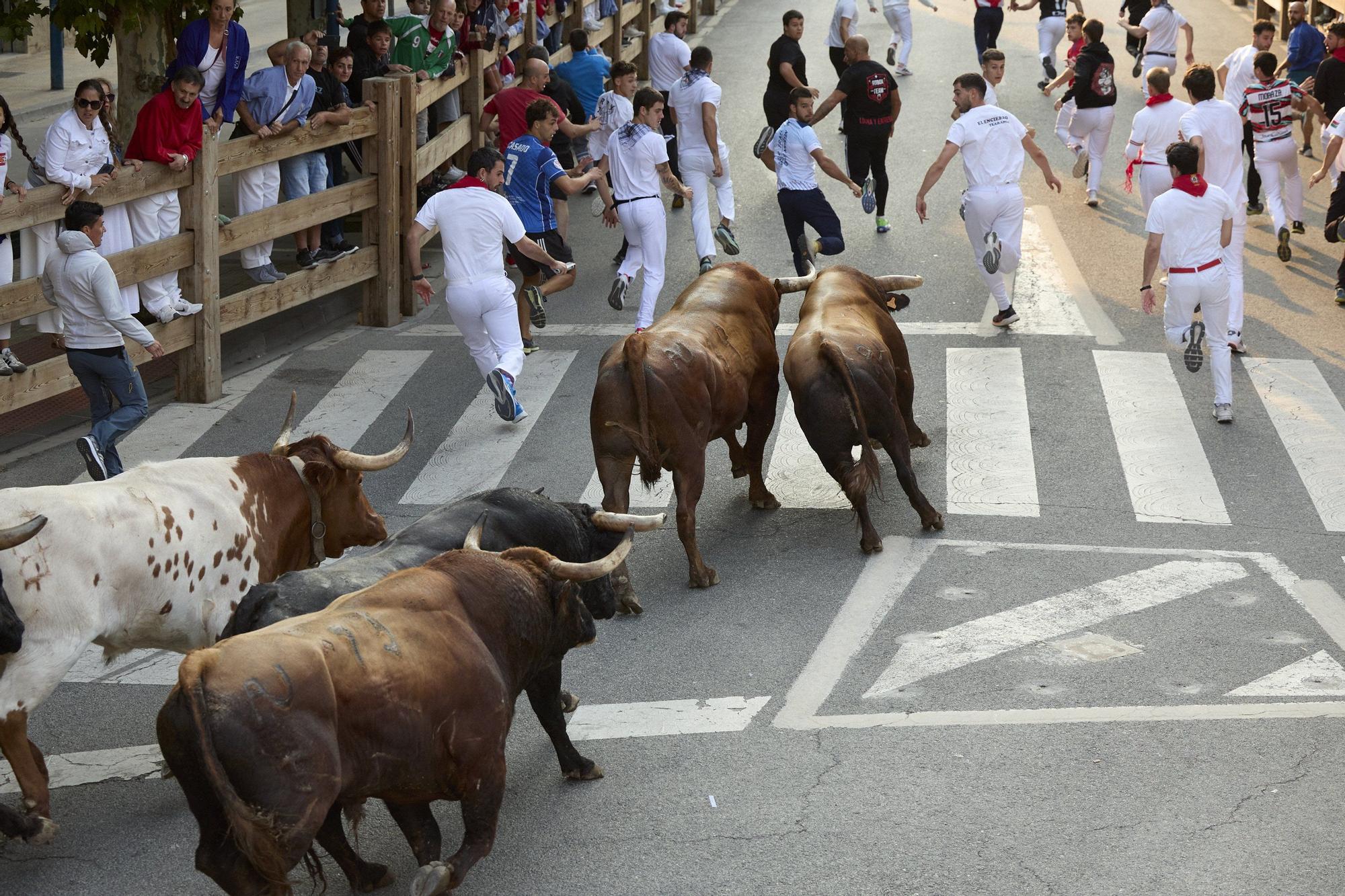 Fotos del sexto encierro de las fiestas de Tafalla 2025