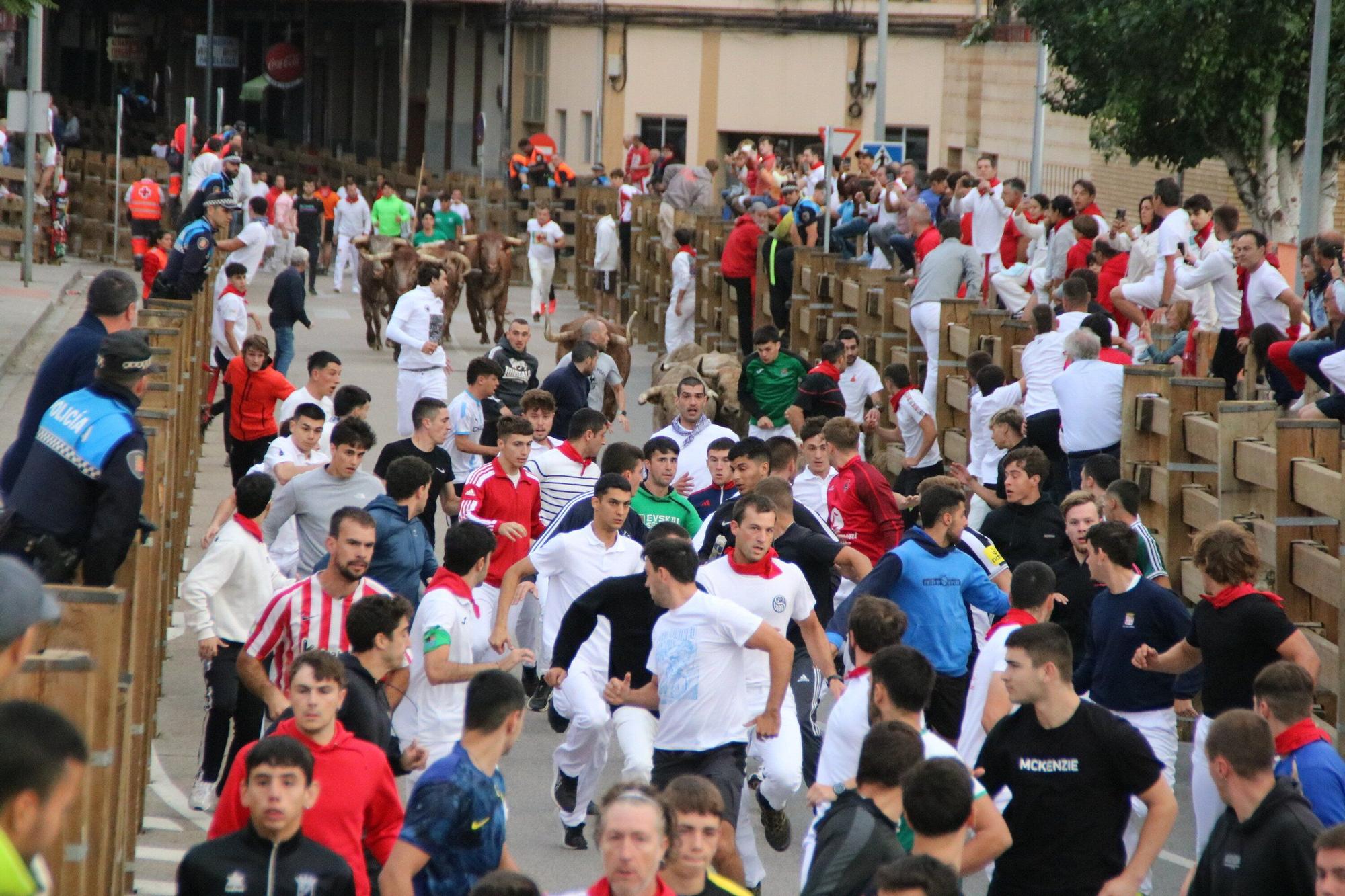 Fotos del sexto y último encierro de las fiestas de Tudela 2025