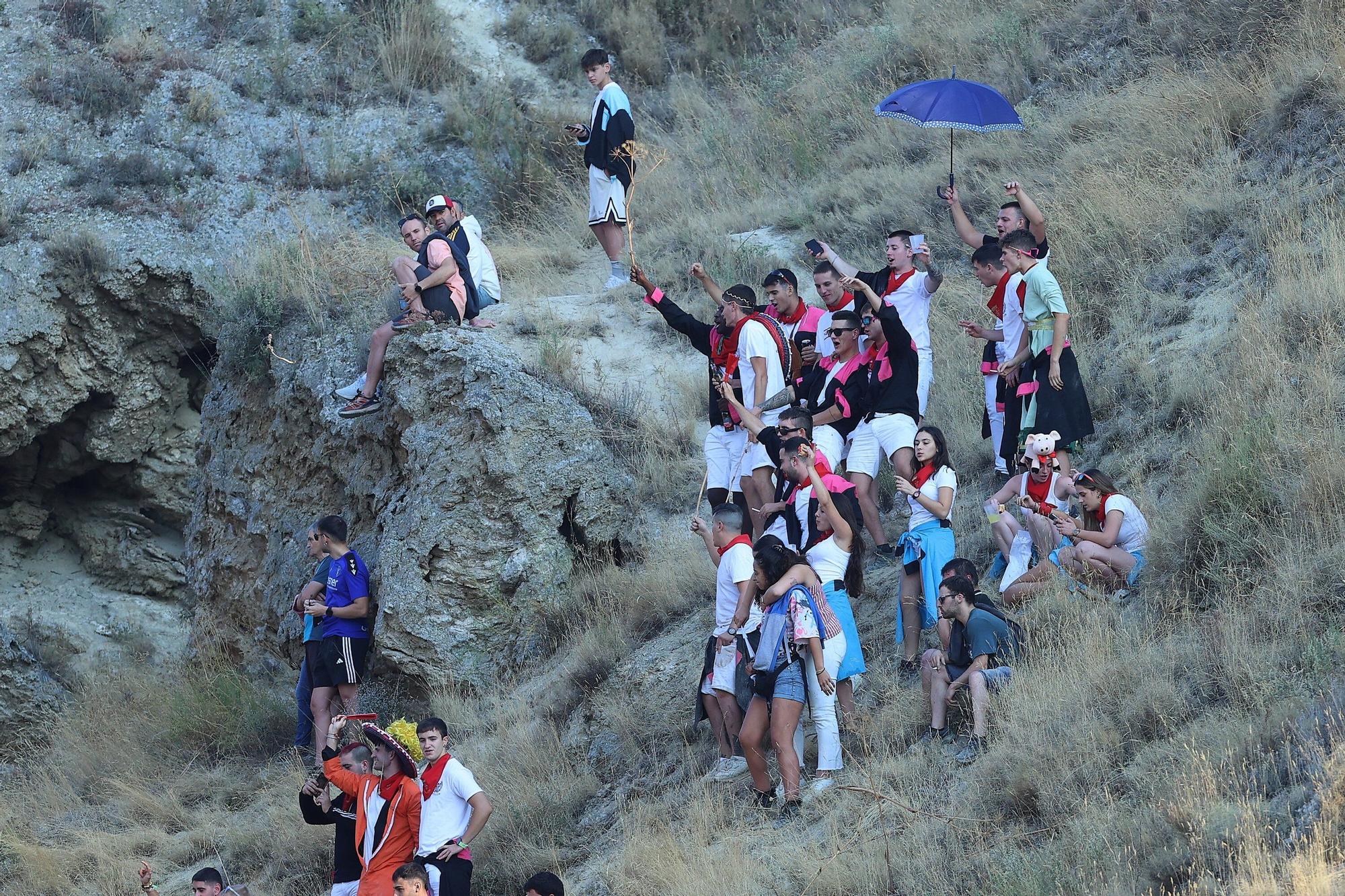 Fotos del último encierro del Pilón de Falces 2025