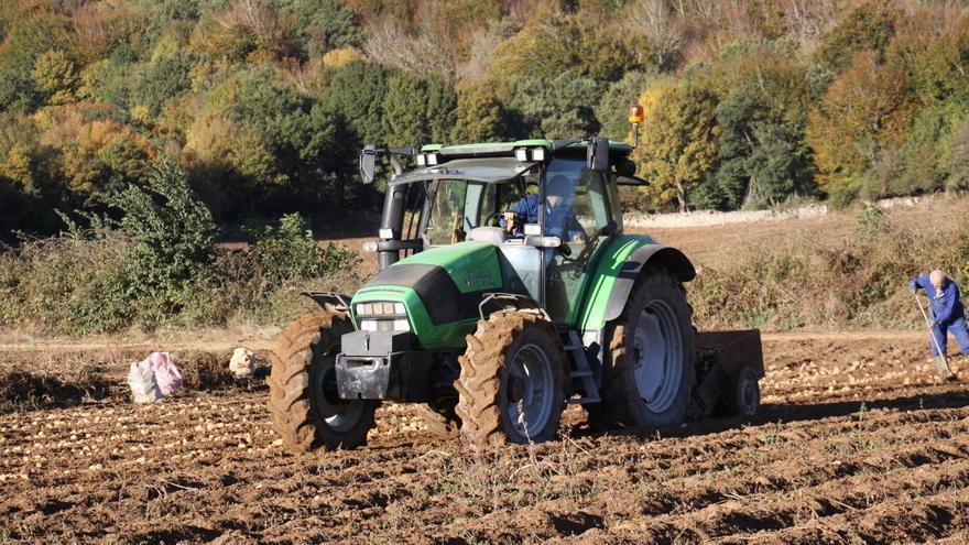 La logia masónica Pro Libertate 181 ayuda a Huertas Amigas