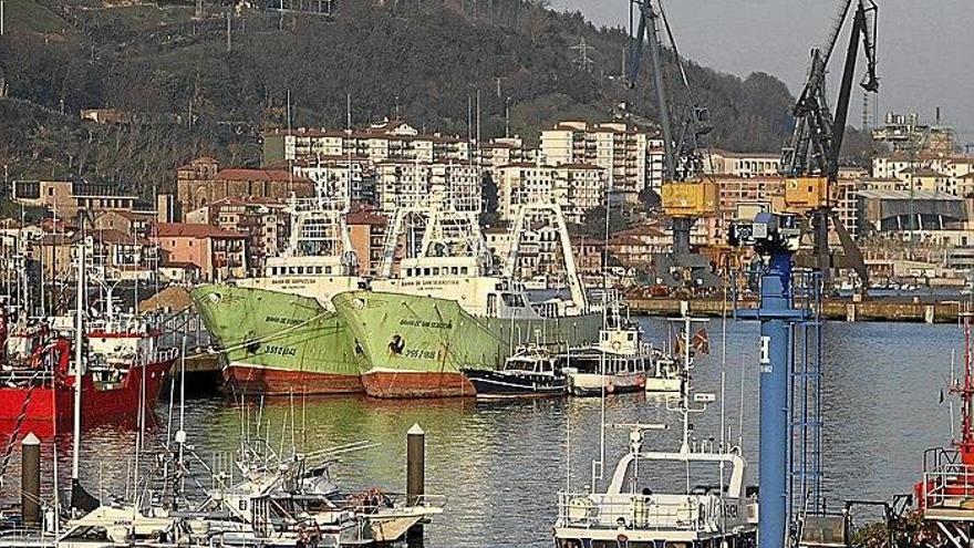 Imagen del Puerto de Pasaia con los barcos amarrados en la dársena guipuzcoana.