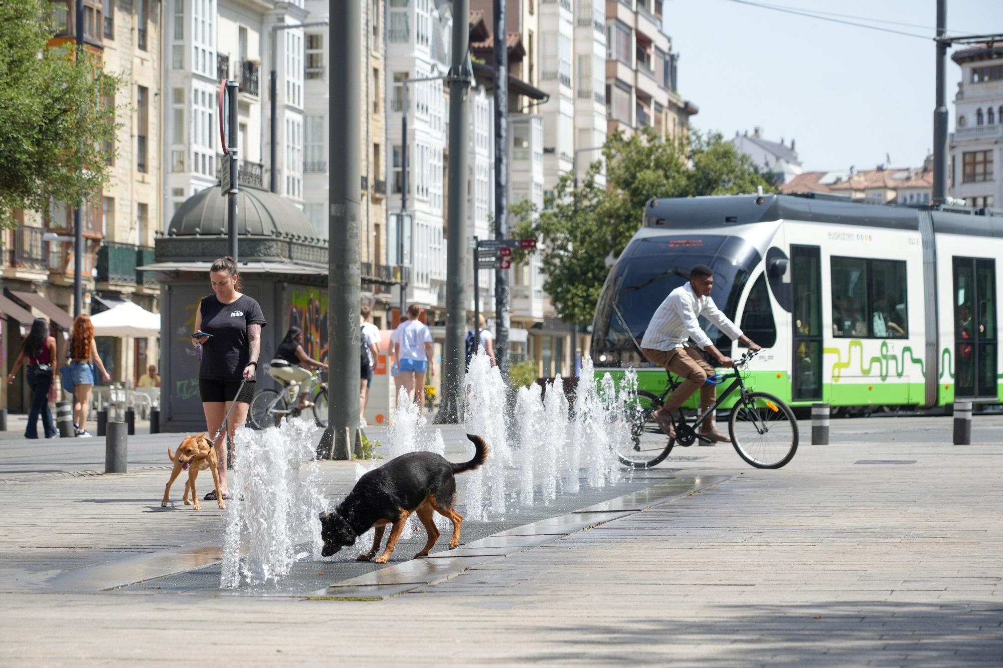 En imágenes: Vitoria se achicharra en plena ola de calor