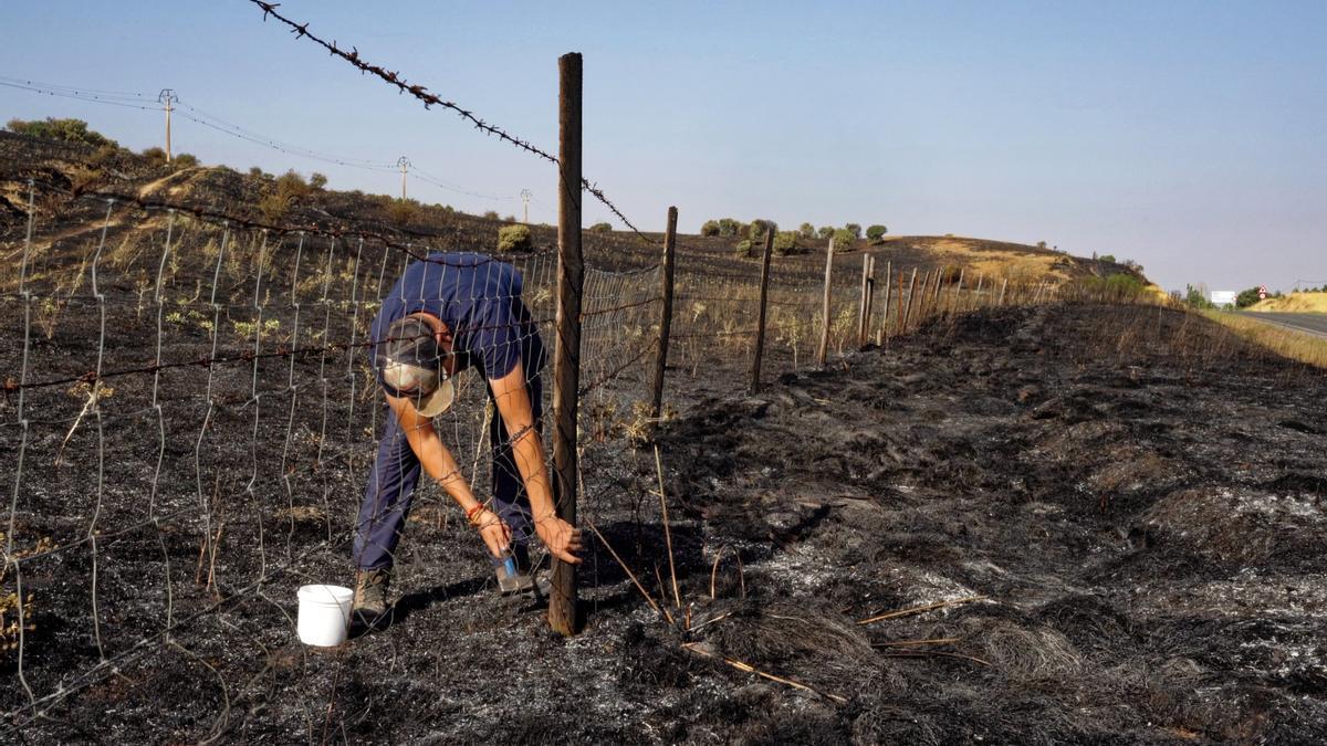 Un ganadero repara la valla de su finca, afectada por el fuego.