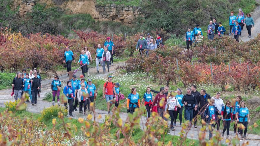 Marcha popular de la Wine Run Rioja Alavesa.