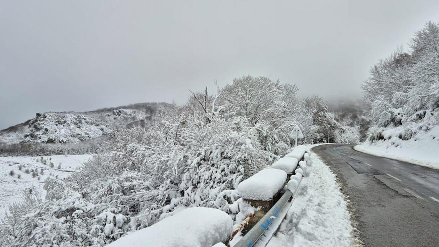 Caos en Montaña Alavesa: un año sin firmar el contrato con los tractoristas
