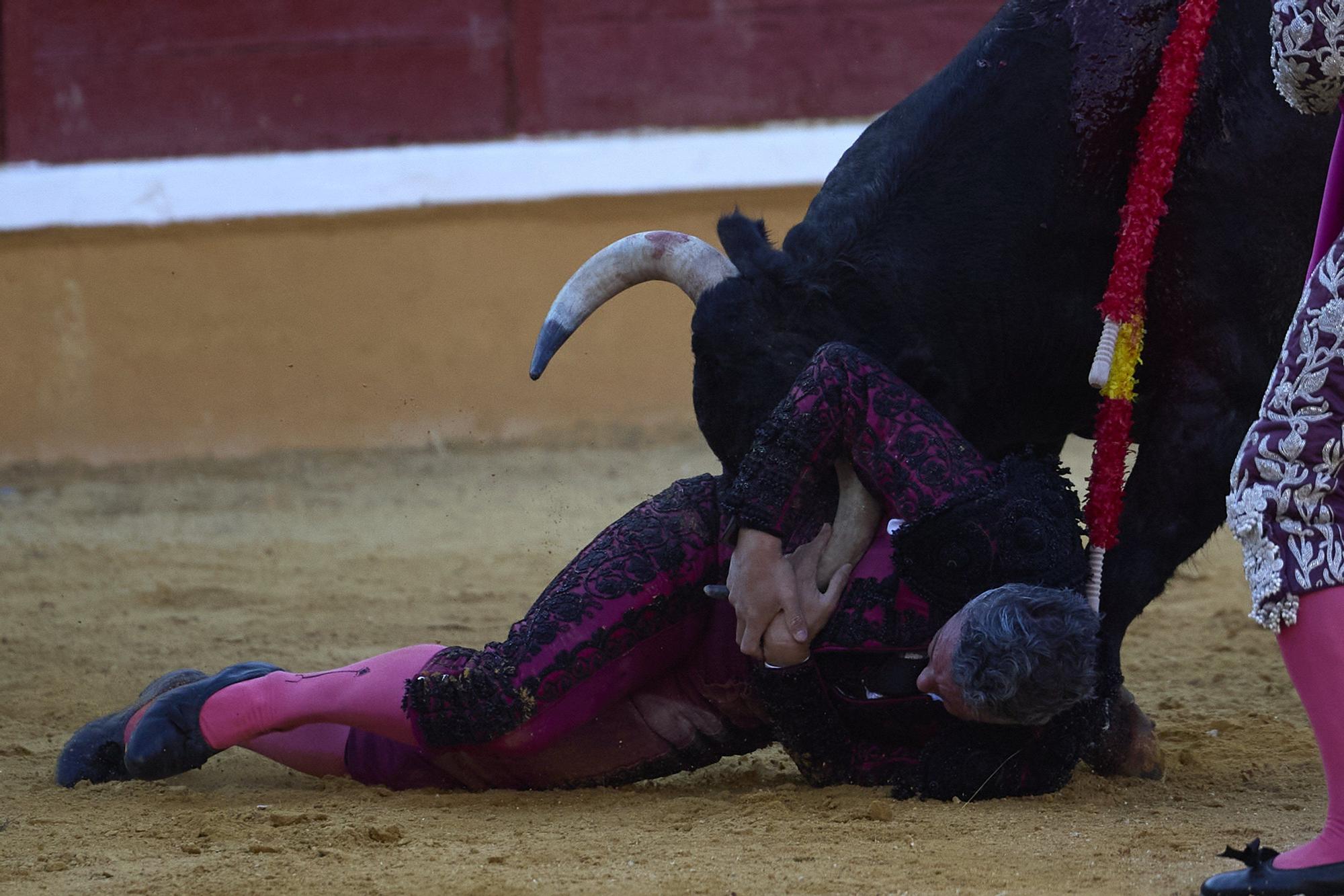 Fotos de la corrida de toros en Tudela con toros de Garzón Valdenebro