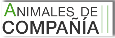 Animales de compañía II