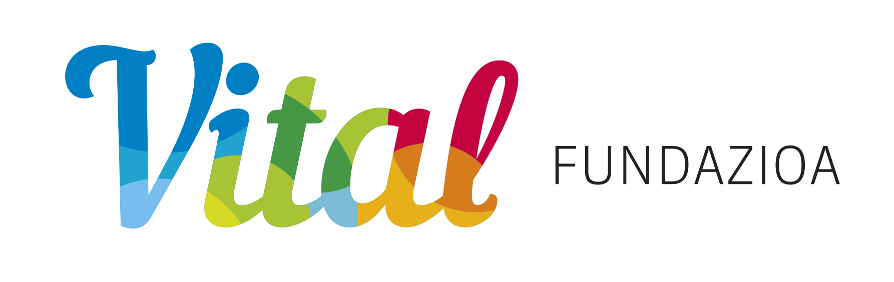 Logo Vital Fundazioa